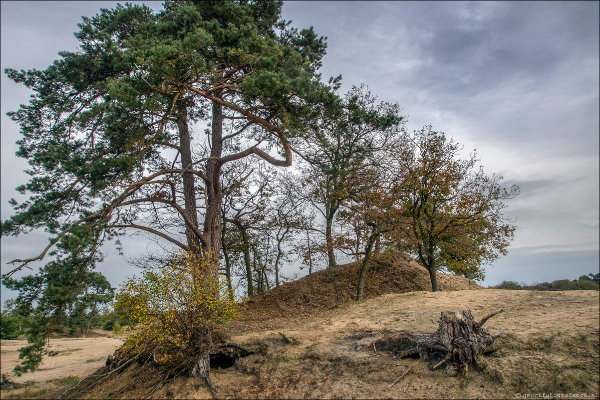 Pelgrimspad: Drunen - Den Bosch - Vught